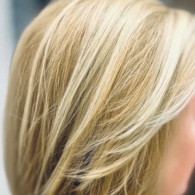 Root Color +Blowout & Gloss at Salon Trek in Raleigh, NC