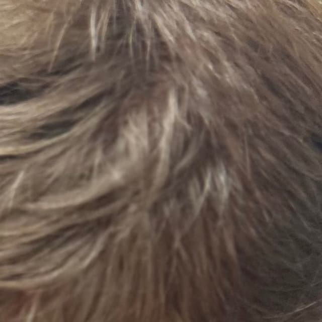 Men’s Color/Gray Blending at Salon Trek in Raleigh, NC